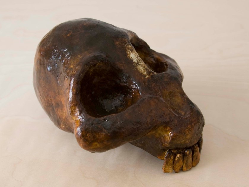 ancestor - Canon 20170315, IMG_9807